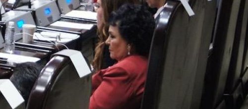 carmen salinas diputada plurinominal durmiendo