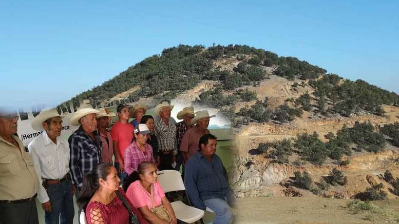 4T niega permisos a minera canadiense. Querían explotar tierras forestales